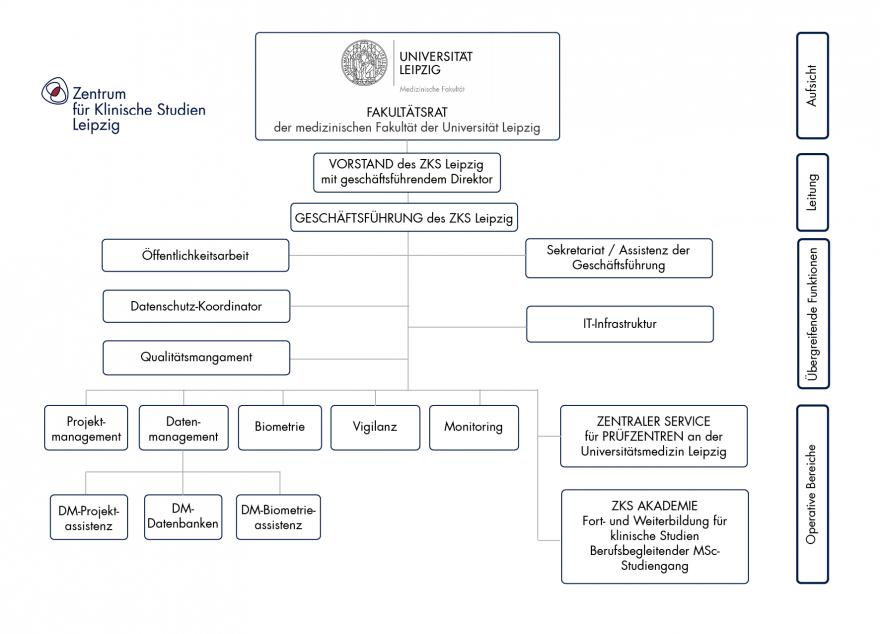 Organigramm Zentrum für klinisches Studien Leipzig